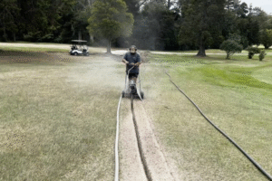 Read more about the article Trenching enthusiasts